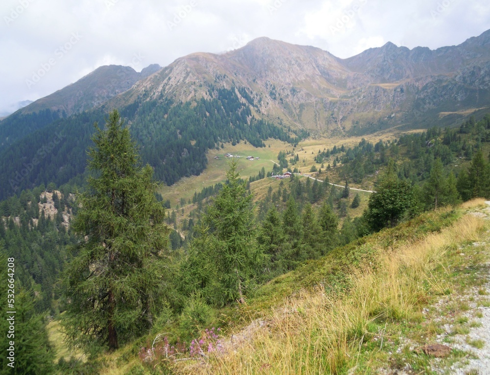 Fototapeta premium Südtirol