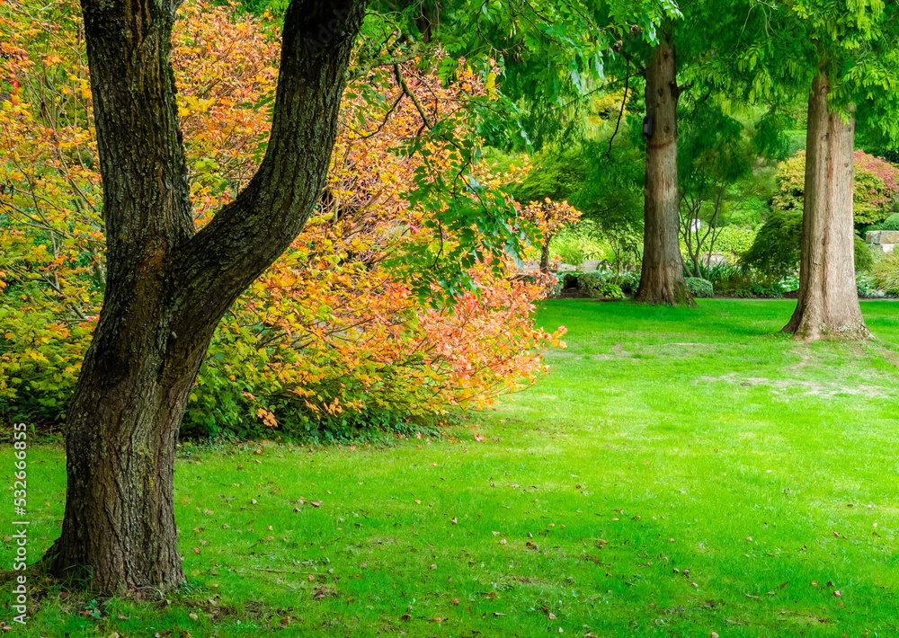 autumn in the park autumn in the park