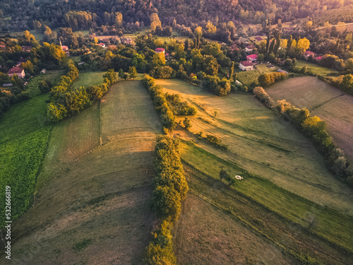 lines in the field