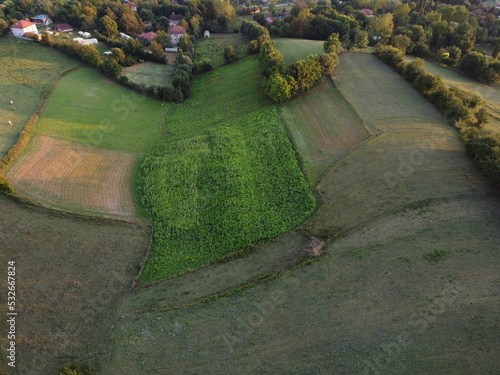 lines in the field