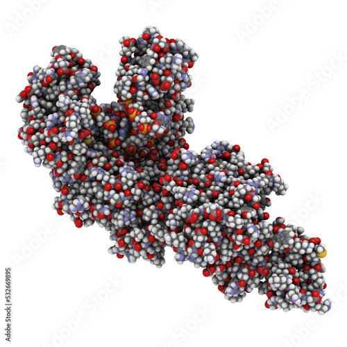 Taq polymerase (Thermus aquaticus polymerase) enzyme bound to DNA, 3D rendering. 