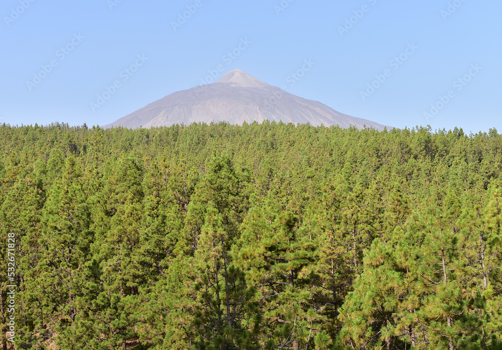 El Teide. Tenerife, Islas Canarias, Spain.