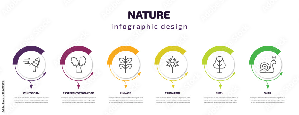 nature infographic template with icons and 6 step or option. nature icons such as windstorm, eastern cottonwood tree, pinnate, carnation, birch, snail vector. can be used for banner, info graph, nature infographic template with icons and 6 step or option. nature icons such as windstorm, eastern cottonwood tree, pinnate, carnation, birch, snail vector. can be used for banner, info graph,