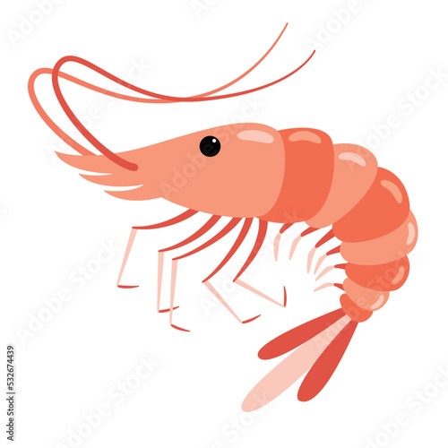 Cartoon Drawing Of A Shrimp