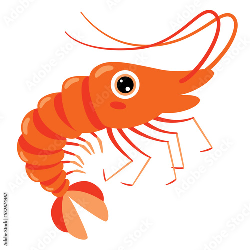 Cartoon Drawing Of A Shrimp