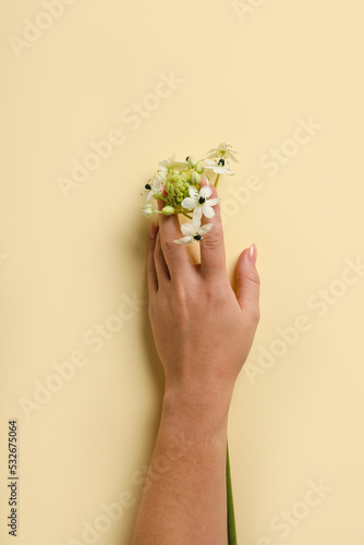 Female hand and beautiful flowers on beige background photo