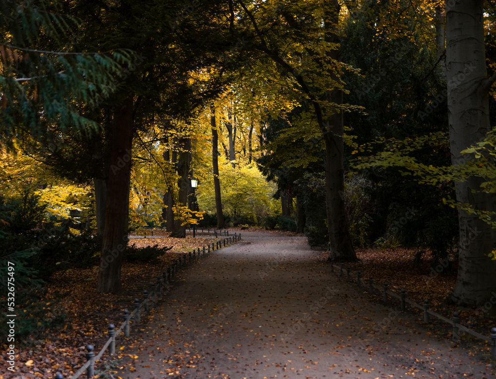 autumn park in Berlin autumn park in Berlin