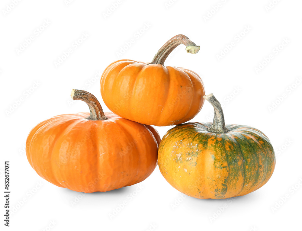 Fototapeta premium Ripe Halloween pumpkins on white background