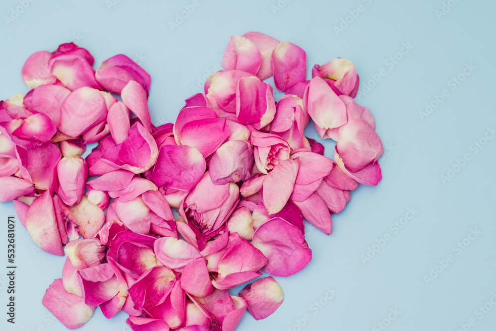 Pink roses petal heart shaped. Top view of heart made of pink rose petals, st valentines day concept