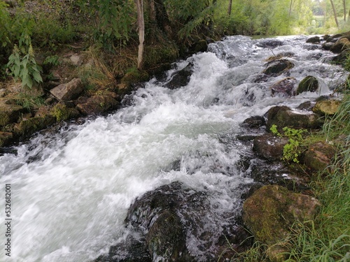 waterfall in the forest