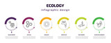 ecology infographic template with icons and 6 step or option. ecology icons such as solar energy, eco cell, sunlight, water tap, save energy, olives on a branch vector. can be used for banner, info