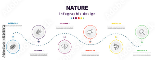 nature infographic element with icons and 6 step or option. nature icons such as fern, branches with leaves, love nature, night snow, ikebana flowers, four leaf clover vector. can be used for