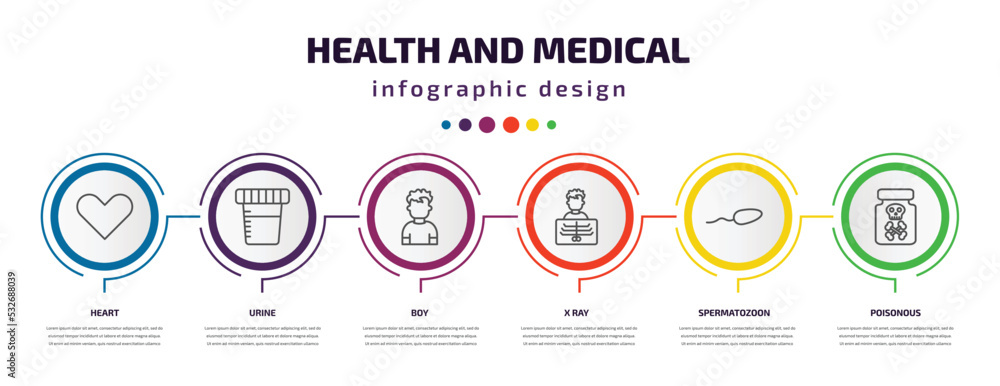 health and medical infographic template with icons and 6 step or option. health and medical icons such as heart, urine, boy, x ray, spermatozoon, poisonous vector. can be used for banner, info health and medical infographic template with icons and 6 step or option. health and medical icons such as heart, urine, boy, x ray, spermatozoon, poisonous vector. can be used for banner, info