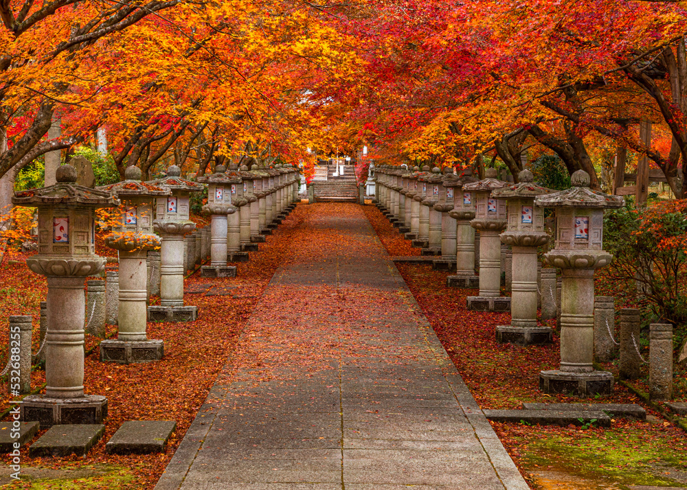 ああ、美しきかな、日本の秋