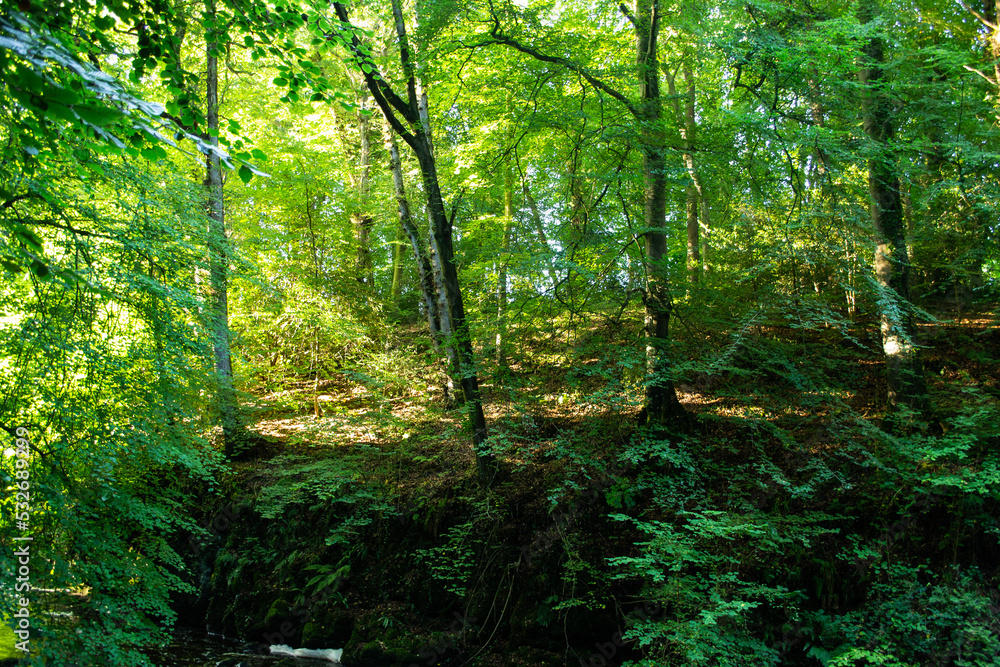 Crumlin Glen Antrim N. Ireland