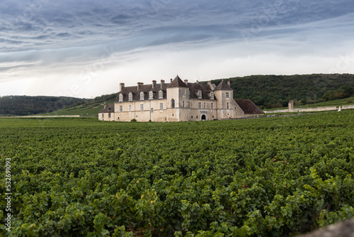 The Clos Vougeot Castle in burgundy