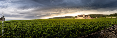 panorama of the clos vougeot castle in burgundy, france photo