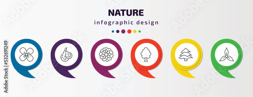 nature infographic template with icons and 6 step or option. nature icons such as wallflower, bergamot, astrantia, american elm tree, balsam fir tree, iris vector. can be used for banner, info