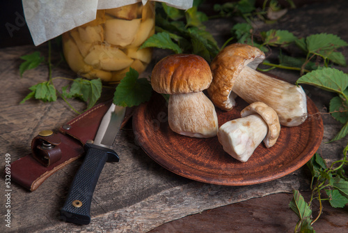 Clay plate with porcini mushroom commonly known as Boletus Edulis, glass jar with canned mushrooms and knife on vintage wooden background..