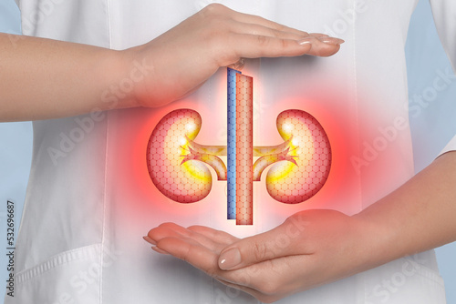 Fényképezés Doctor holding virtual image of inflamed kidneys, closeup