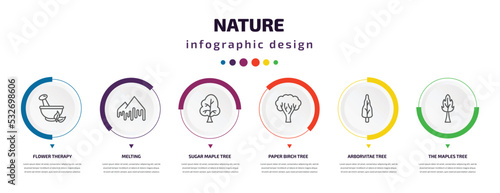nature infographic element with icons and 6 step or option. nature icons such as flower therapy, melting, sugar maple tree, paper birch tree, arborvitae tree, the maples vector. can be used for