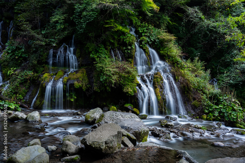 Naklejka premium 山梨県 吐竜の滝