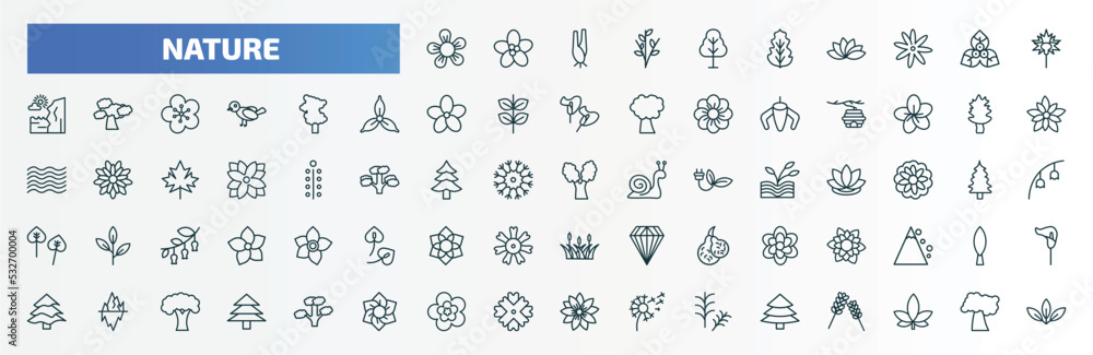 special lineal nature icons set. outline icons such as jasmine, birch, carnation, sassafras tree, cucumber tree tree, eastern cottonwood dahlia, iceberg, peony, red spruce line icons. special lineal nature icons set. outline icons such as jasmine, birch, carnation, sassafras tree, cucumber tree tree, eastern cottonwood dahlia, iceberg, peony, red spruce line icons.