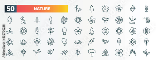 set of 50 special lineal nature icons. outline icons such as rosemary, mimosa, almond, grow plant, pinnate, magnolia, freesia, bird, carnation, beech line icons.