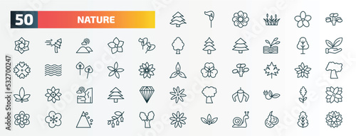 set of 50 special lineal nature icons. outline icons such as balsam fir tree, pitch pine tree, calla, birch, neroli, maple, cliff, ylang-ylang, orchid, acicular line icons.