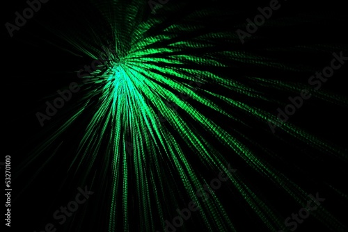 abstract background with rays green black illustration art abstract 
