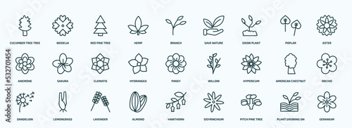 special lineal nature icons set. outline icons such as cucumber tree tree, hemp, grow plant, anemone, hydrangea, hypericum, dandelion, almond, pitch pine tree, plant growing on book line icons.