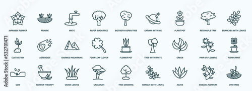 special lineal nature icons set. outline icons such as japanese flower, paper birch tree, plant pot, cultivation, four leaf clover, green, sow, savannah, agave, ikebana flowers line icons.