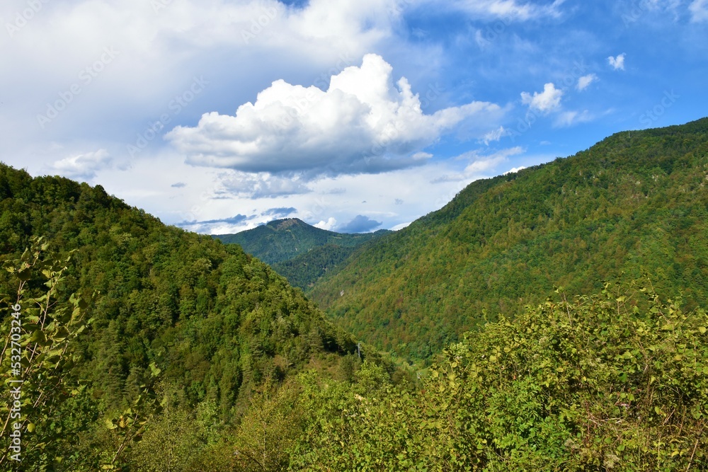Temperate, deciduous, broadleaf forest covered valley in the hills of Idrija in Primorska, Slovenia in summer
