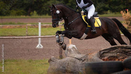 Horse Trials. Horse and rider in cross country competition. Jump over a log. Dangerous solid obstacle.