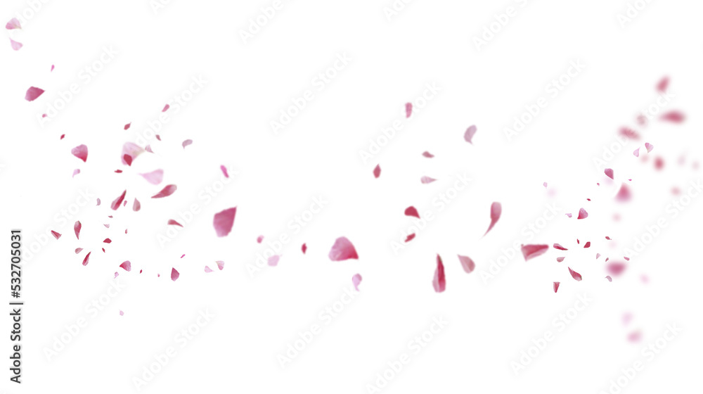 Obraz Beautiful floral overlay with flying pink petals at transparent background  fototapeta, plakat