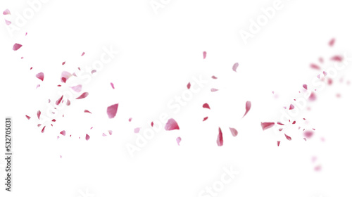 Fotografiet Beautiful floral overlay with flying pink petals at transparent background
