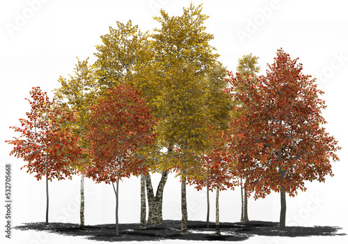 Fototapeta Naklejka Na Ścianę i Meble -  group of autumn colored trees 1
