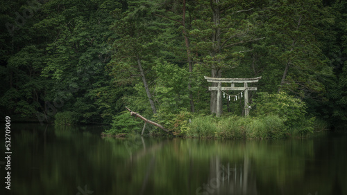 山形県 大沼の浮島の深緑