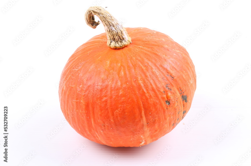 pumpkin isolated on white background pumpkin isolated on white background