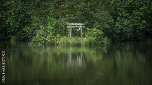 山形県 大沼の浮島の深緑