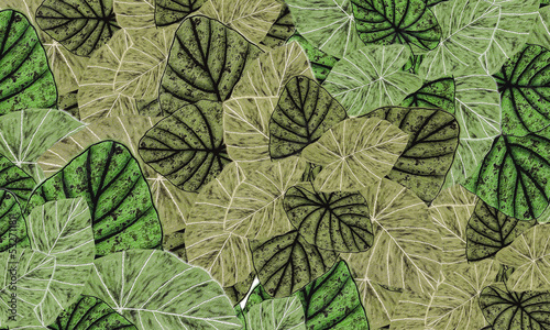 green tropical leaves pattern abstract spring nature wallpaper design background