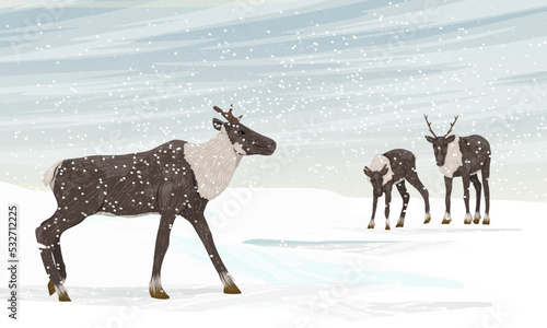 Herd of reindeer in a snow storm. Caribou in the Arctic. Realistic vector landscape