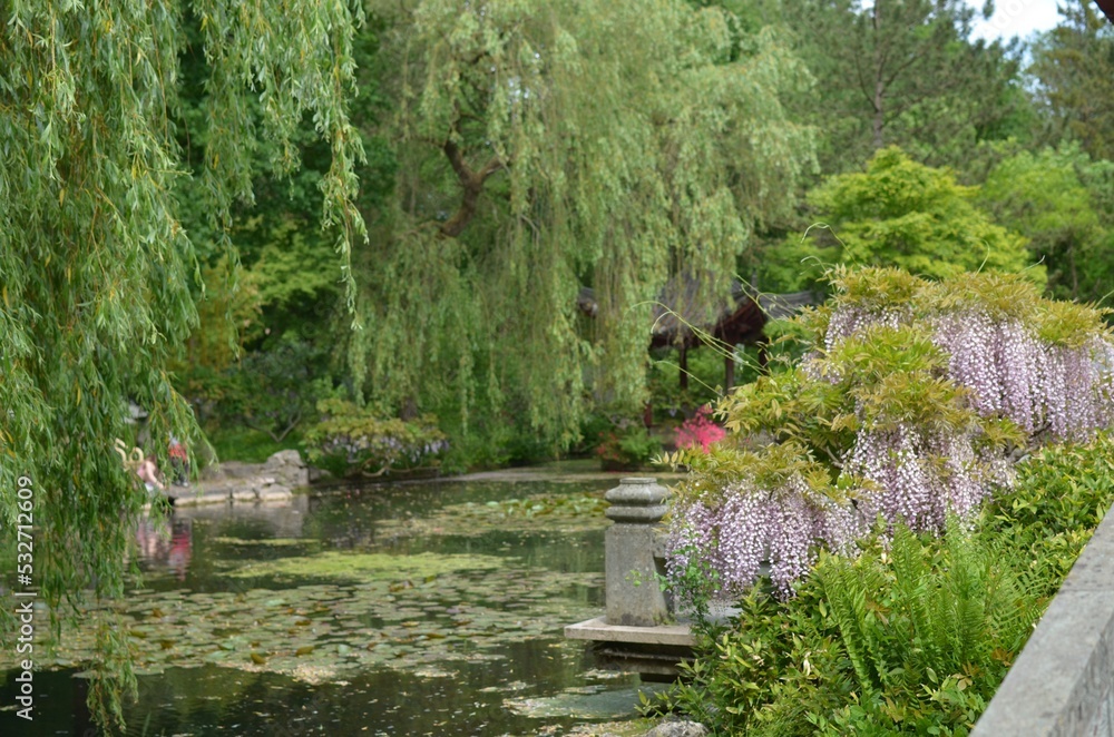 Beautiful view of green plants and pond in park