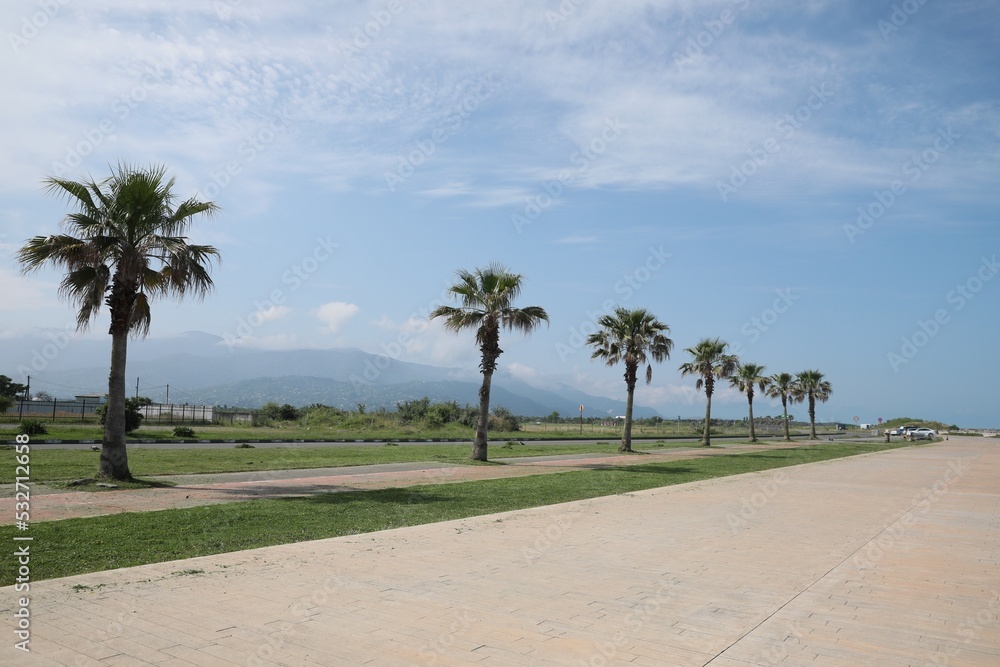 Beautiful view of tropical palm trees on sunny day Beautiful view of tropical palm trees on sunny day