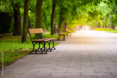 Beautiful view of green park with path and wooden bench. Space for text © New Africa