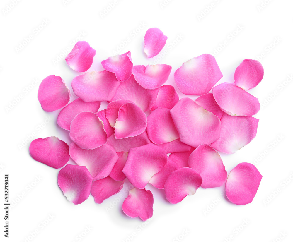 Many pink rose petals on white background, top view Many pink rose petals on white background, top view