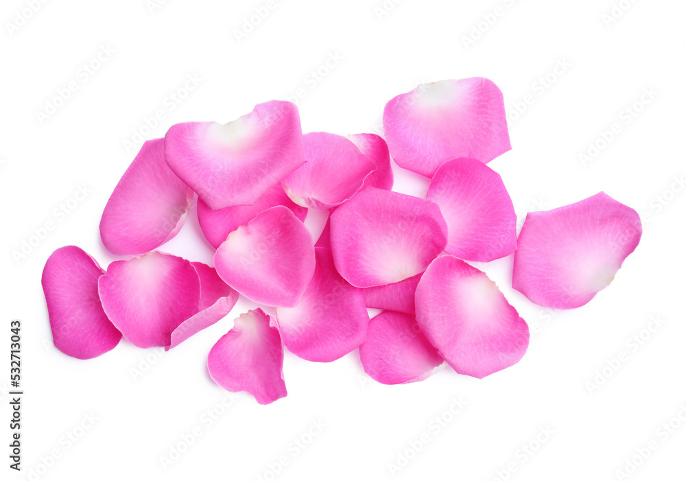 Fototapeta premium Many pink rose petals on white background, top view