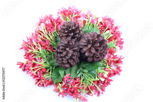 Flowers of pine on Combretum indicum 