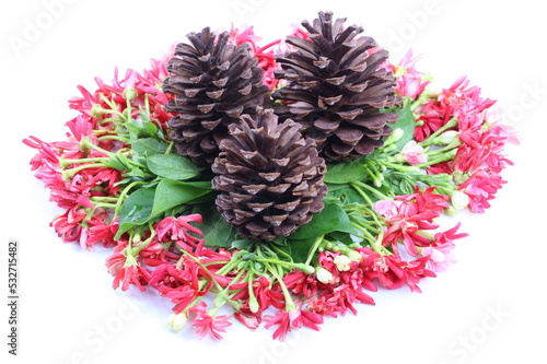 Flowers of pine on Combretum indicum 