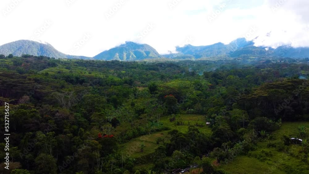 Drone shot of a forest Drone shot of a forest